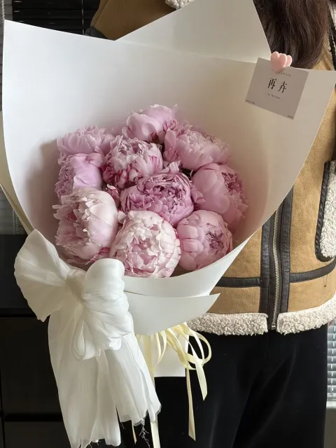 【云间芍语】