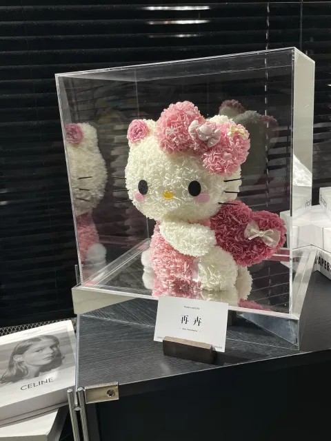 【粉绒猫语】
