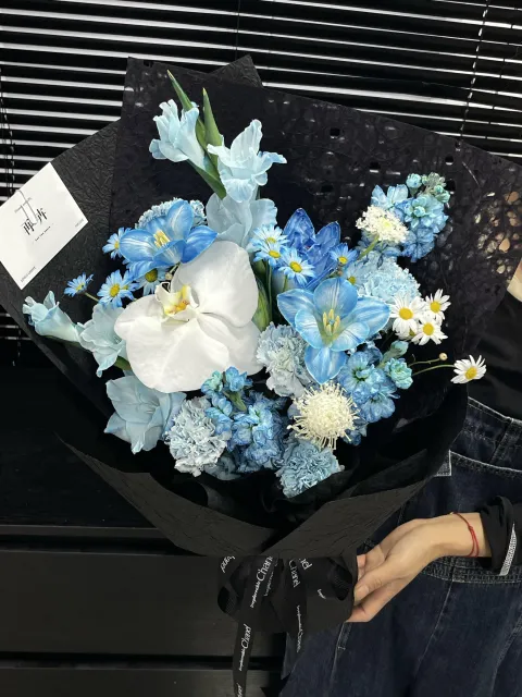 【浅蓝诗】