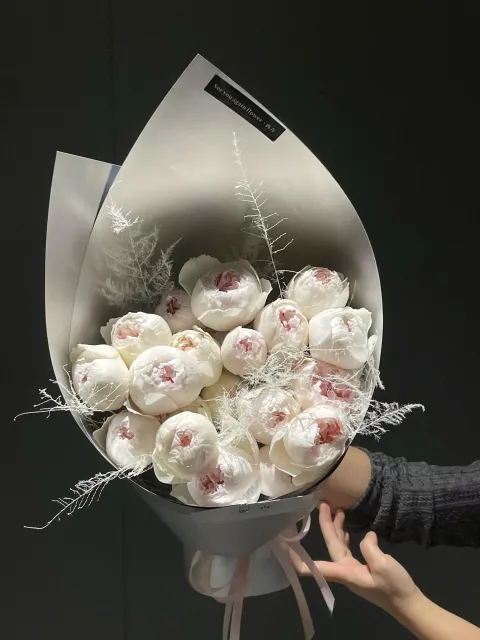 【雾雪独白】