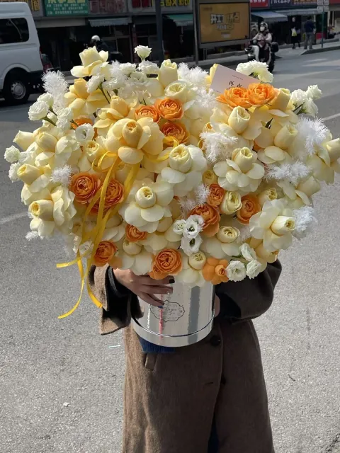 【暖光诗篇】