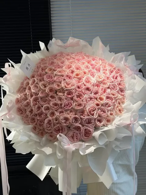 【樱粉团】