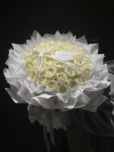 【纯白序】