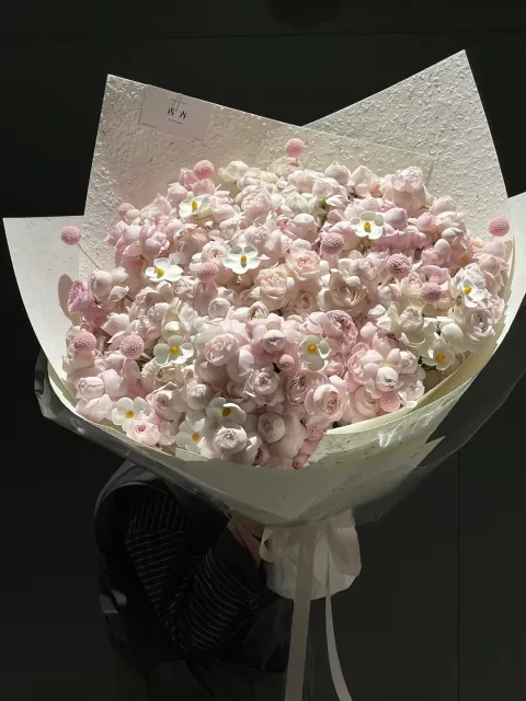 【樱粉圆梦】