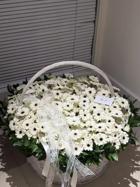 【云间星】