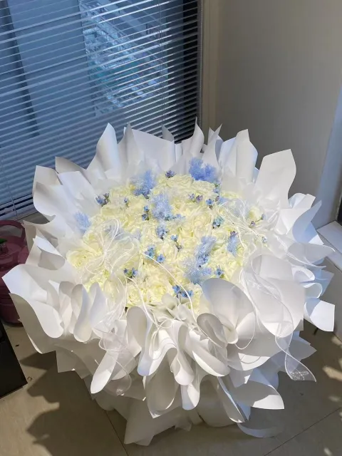 【雾白星澜】