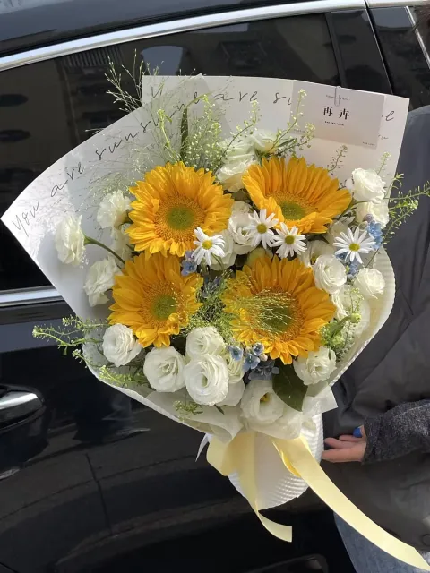 【风野向日】