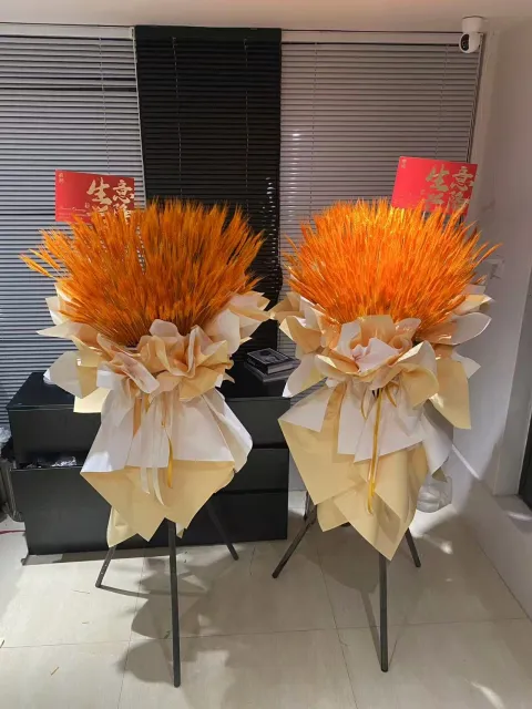 【灼日金芒】