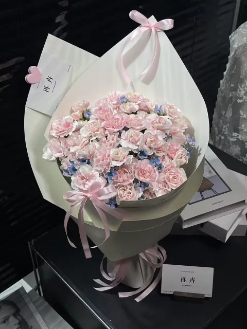 【粉蓝栖云】