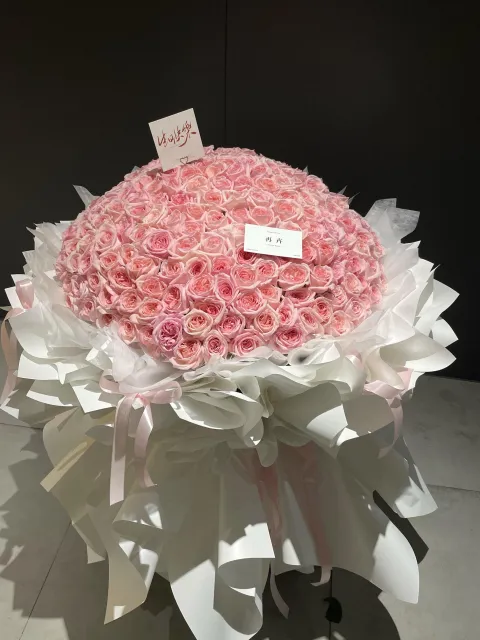 【藏情】