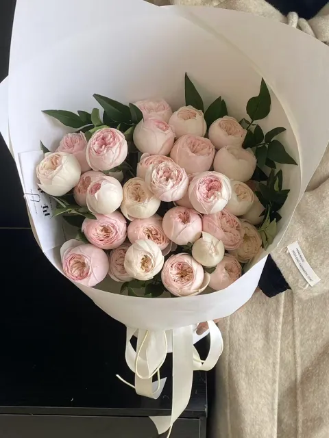 【春酲未散】