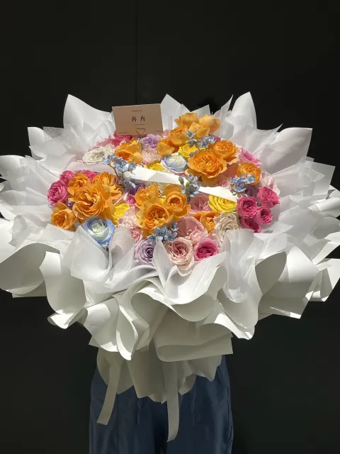 【嬉游记】