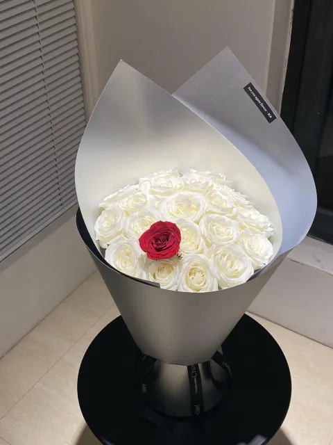 【红白纪】