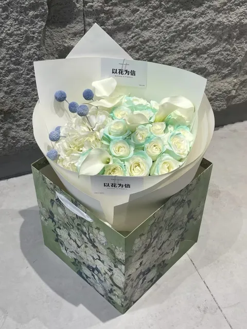 【淡绿纪行】