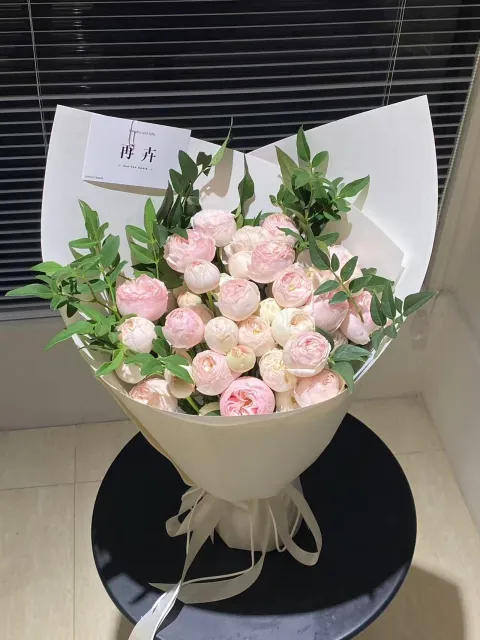 【软春信】