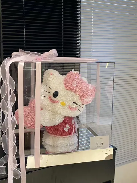 【凯蒂猫捕梦网】