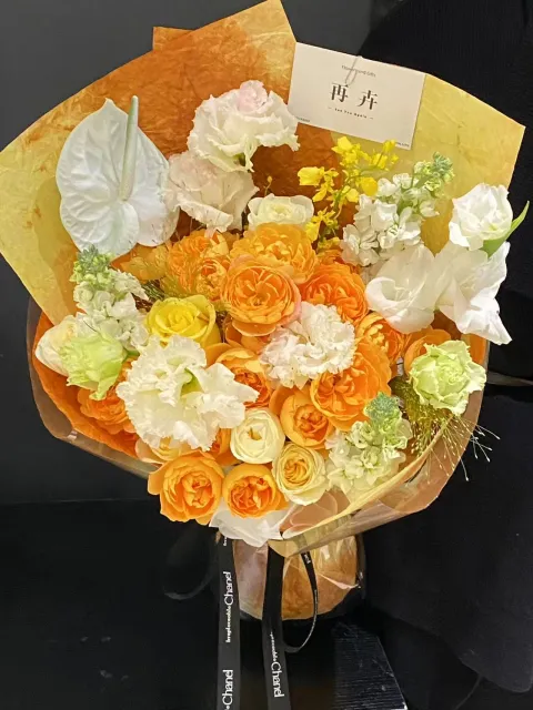 【春日不迟到】