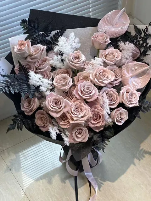 【在黑粉之间】