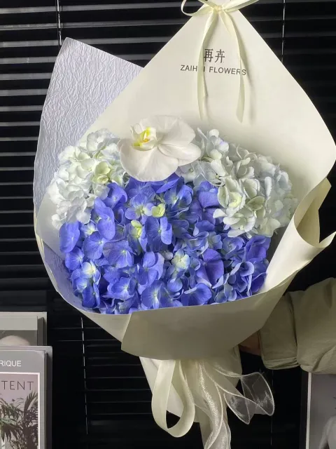 【蓝赴云间】