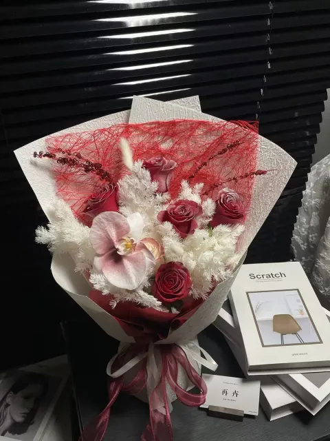 【绯蝶】