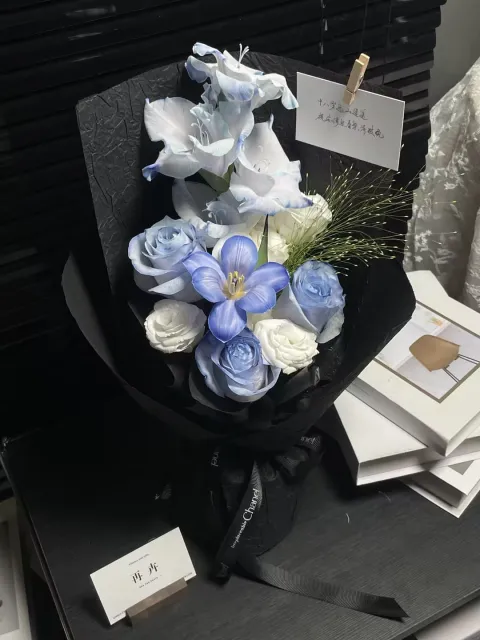 【海雾寻踪】