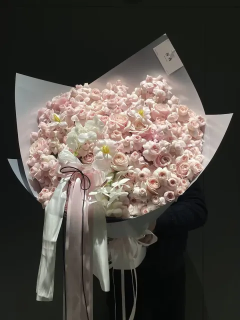 【樱落满肩】