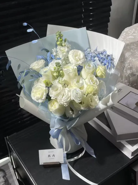 【雾蓝晨光】