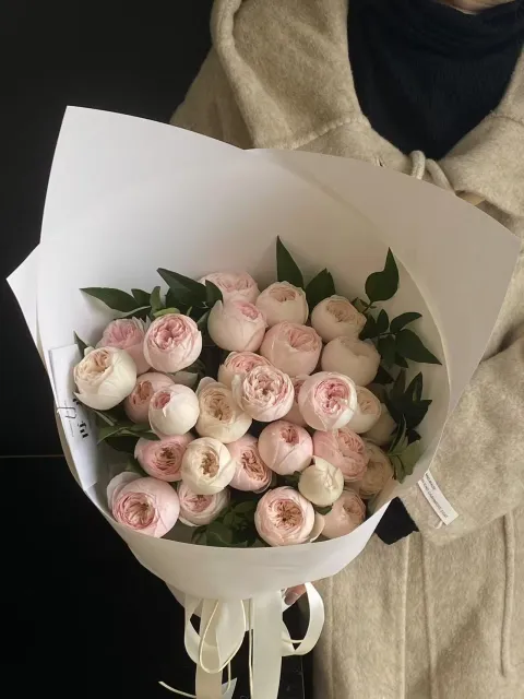 【酷皮静默】