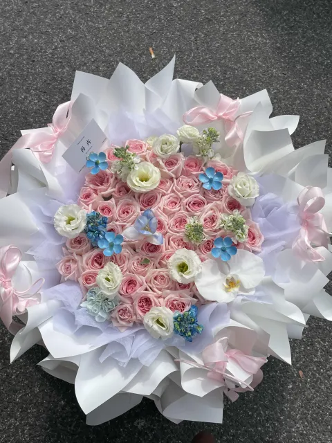 【春日慵懒】