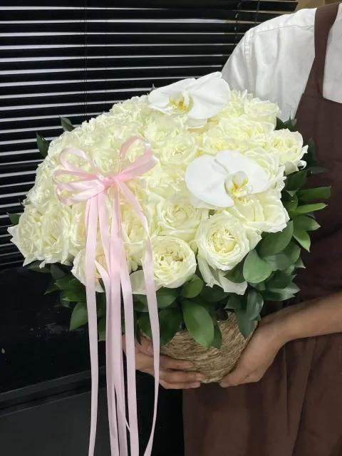 【缎上白日】