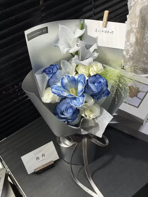 【蓝岛纪】