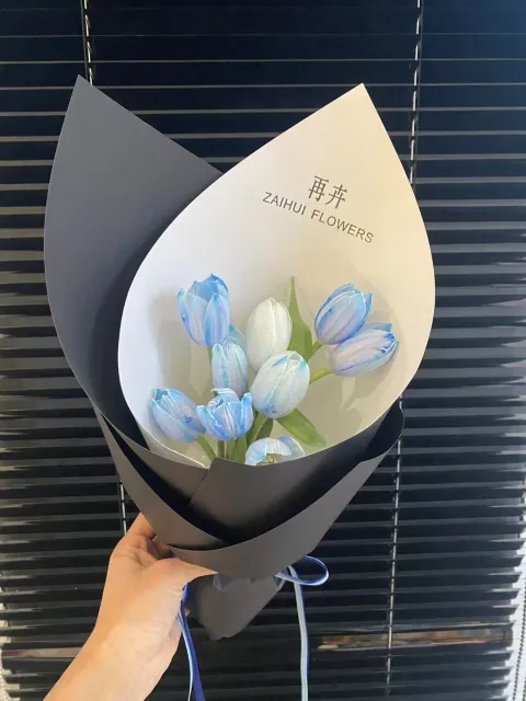 【蓝焰札】