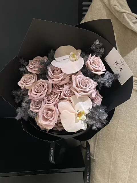 【烟粉蝶梦】