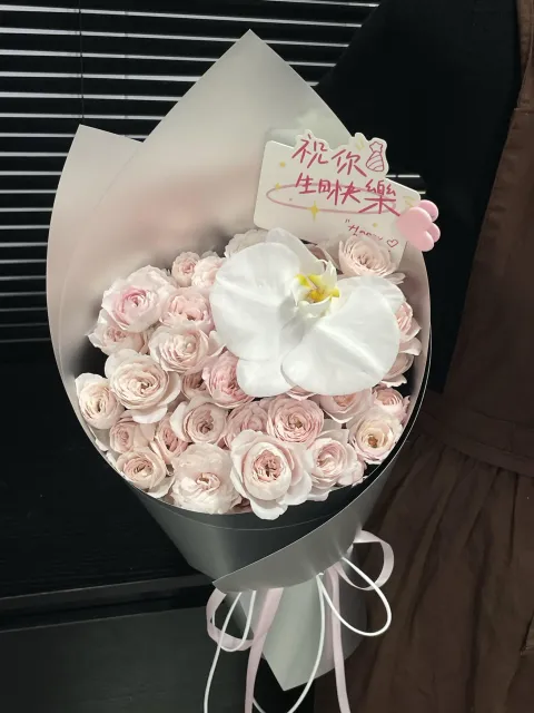 【云间寄月】