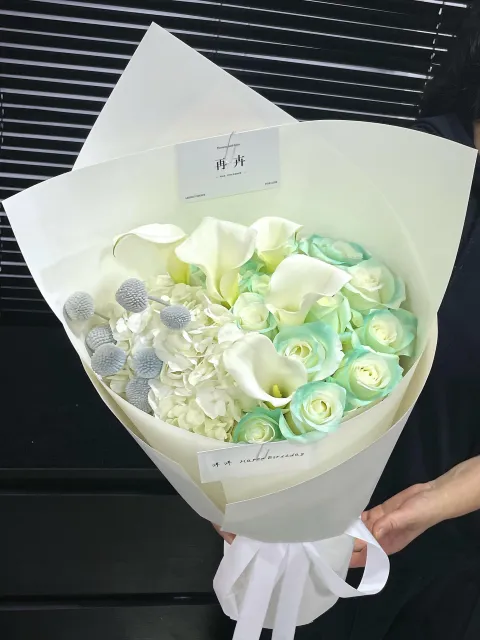 【青雾莲语】