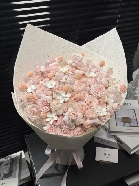 【春日桃桃乐】