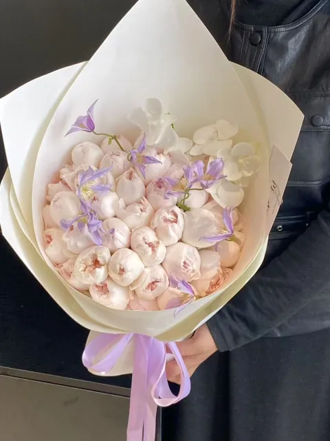 【芋紫雁归】
