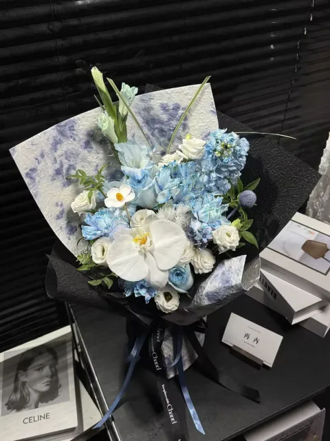 【水墨蓝蝶序章】