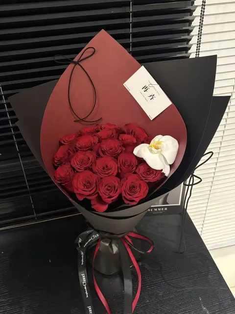 【红黑序章】