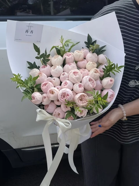 【春日日记】