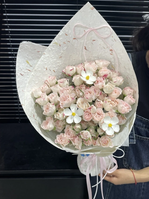【春野白樱】